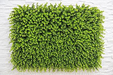 消息称《女神异闻录6》已于2019年开始制作